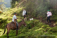 /album/fotogaleria/foto-46-jpg/